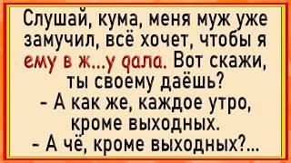 Как жена поставила мужу условие! Сборник свежих анекдотов! Юмор!