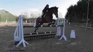 The Hesteyri Horses Team ~ Meet and Greet!