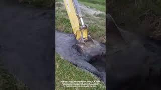 Heavy Machine Clears Muddy Drainage Ditch Quickly