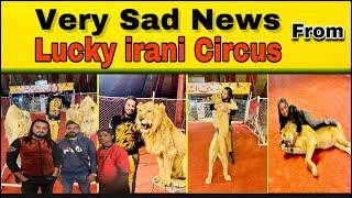 SAD NEWS | MEET WITH KING OF LIONS | Bilal Hussain / Shair Ali Vlogs