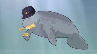How the ATF Makes New Laws