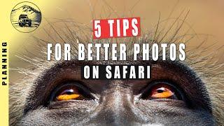 5 SIMPLE TIPS  FOR BETTER SAFARI PHOTOS