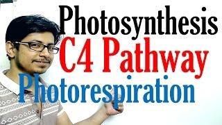 C4  pathway Photosynthesis and photorespiration