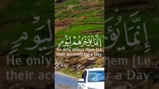 Islamic releases and videos #love #quran #video