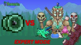 Terrarian vs All Bosses (Expert Mode) Terraria