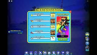 Why Does Cheetah Shadow Need So Many Things??