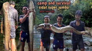 camp survival and spearfishing: ketemu sidat super besar penunggu batu tunggal