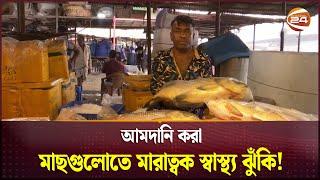 বাজারে সয়লাব আমদানিকৃত মাছে | Fish Market | Fish Import | Bangladesh | Channel 24