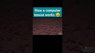 How Does a Computer Mouse Work? #knowledge #sciencefacts #techexplained