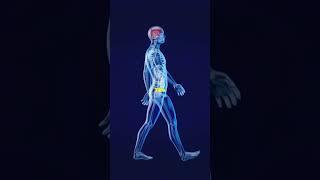 Deep Dive: 5 Mind Blowing Walking Facts! #facts #news #science #walking #viral #viralvideo