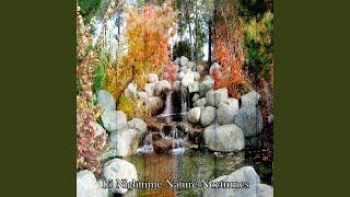 Natures Gift Of Peace