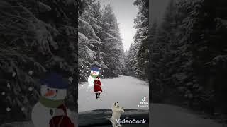 @Tik Tok С Наступающим Новым Годом!