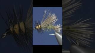 DRY FLY best STIMULATOR OLIVE Fly tying #shorts #flytying