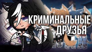 КРИМИНАЛЬНЫЕ ДРУЗЬЯ | ОЗВУЧКА СЕРИАЛА | GACHA LIFE