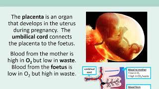 Knole Academy | Science | JC Lesson 2 Year 9 | Week 2 | Diffusion Part 1 of 2