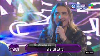 Mr Gato - Recital en vivo Especial  Pasion de Domingo (03-08-2024)