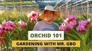 Gardening with Mr. GBO: Orchid 101