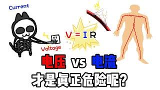 哪个才真正危险：【电压】vs【电流】？| “人体电阻”是多少？