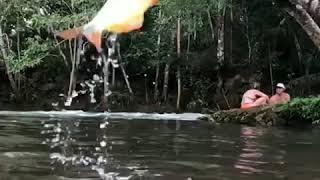 Coisa linda peixe pulando para comer