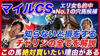 【マイルCS】知らないと損をするチャリンの全てを徹底解説！絶対に買いたい理由があります