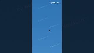AI Drone Interceptor. Molot.