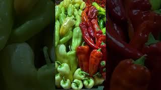 Hungarian paprika. Great Market Hall of Budapest #Shorts #streetfood #budapest