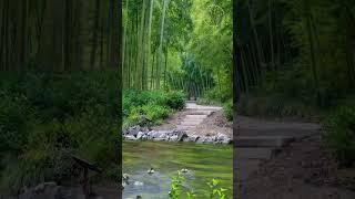 🪿 Calm Leadership in Motion | Ducks Gliding Through Nature’s Green Serenity