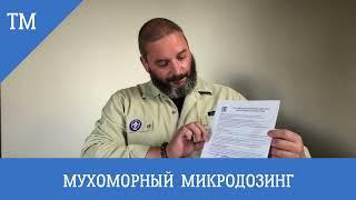 Мухоморный микродозинг  Микродозинг красного мухомора  Михаил Вишневский