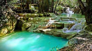 Calming Turquoise Cascade Waterfall in Jungle  | Gentle Water Sounds for Sleep, White Noise & ASMR