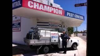 Fipforce Accredited   Champion Pest Control