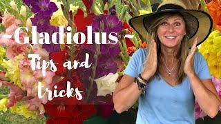 Gladiolus Tips and Tricks | Kelly  Lehman