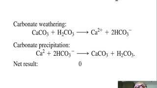 8   Inorganic Carbon and Long Term Feedbacks