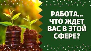 ЧТО ЖДЕТ В СФЕРЕ РАБОТЫ И ФИНАНСОВ? НАЙДЕТЕ ЛИ ВЫ РАБОТУ? ЧТО ВАМ НАДО ЗНАТЬ ПРЯМО СЕЙЧАС?