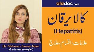 How to Treat Hepatitis Kala Yarkan Ka Ilaj Urdu Hindi| Hepatitis B & C Cure|Hepatitis Types Symptoms