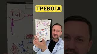 Юрий Мартынов - психолог по тревоге #гтр #окр #ипохондрия #тревожноерасстройство #тревога