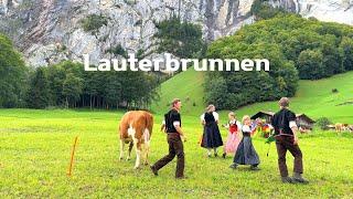 [4K]Lauterbrunnen, Swiss : Fairy-Tale Paradise Village / Breathtaking falls & Cow ParadeSep. 2023