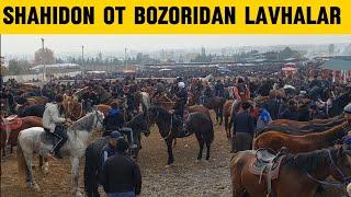 Shahidon ot bozori bugungi narhlar bilan tanishing 12.11.2024yil