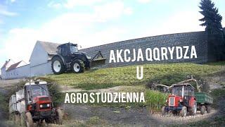 AKCJA QQRYDZA 2019 u AGRO STUDZINNA!!!