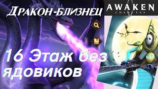 Дракон-Близнец: 16 этаж команда без ядовиков. | AWAKEN CHAOS ERA