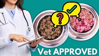 #1 Vet Recommended Dog Food ‍️