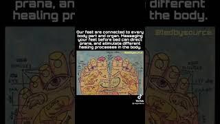 Our feet are connected to every organ and body part 