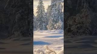 ️.️Connie Francis️- "Have Yourself a Merry Little Christmas"(Устрой себе маленькое Рождество)