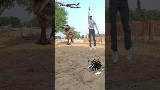 dinosaur attack video #dinosaur #vlog #viralshorts #shorts #funny #feedshorts #chunni #aeroplane