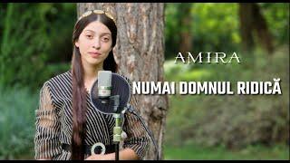 Amira din Barbulesti - NUMAI DOMNUL RIDICĂ