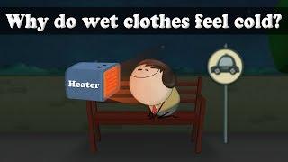 Why do wet clothes feel cold? | #aumsum #kids #science #education #children