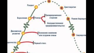 Этапы жизненного цикла организации