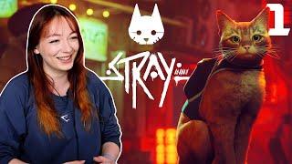 Cats AND dystopias?! Count me in || Stray Part 1 (First Playthrough)