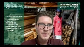 Enabling MSMEs to participate in legal timber production and trade