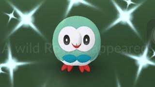 Shiny Rowlet In Pokémon Go Community Day  #shorts #pokemongo #pokemon #shinypokemon#rowlet