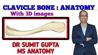 CLAVICLE BONE : ANATOMY